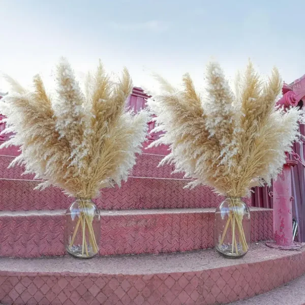 40PCS Tall Natural Pampas Grass